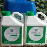 Fungicid colossal pro